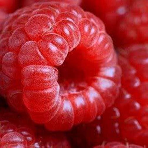 100 Red Raspberry (Rubus Idaeus) Seeds