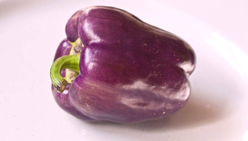 Purple Beauty Bell Pepper (Capsicum annuum) Seeds – 75 ct