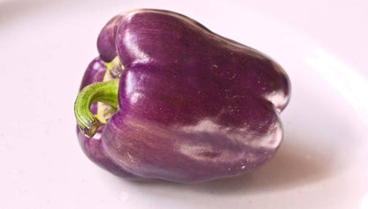 Purple Beauty Bell Pepper (Capsicum annuum) Seeds – 75 ct