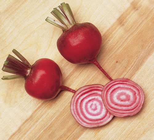 250 EARLY WONDER BEET Beta Vulgaris Vegetable Seeds