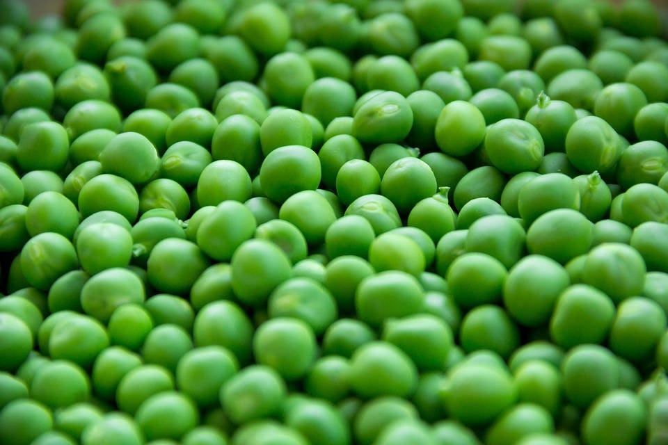 50 Super Sugar Snap Pea (Pisum Sativum Macrocarpon) Seeds
