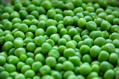 50 Super Sugar Snap Pea (Pisum Sativum Macrocarpon) Seeds