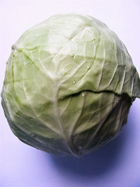 500 Copenhagen Market Early Cabbage (Brassica Oleracea) Seeds