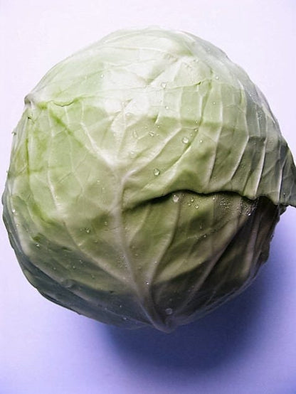 500 Copenhagen Market Early Cabbage (Brassica Oleracea) Seeds