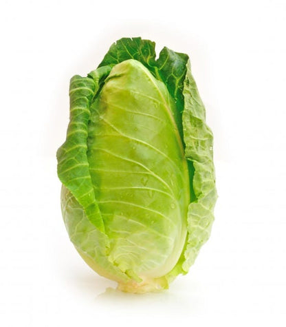 Charleston Wakefield Cabbage (Brassica oleracea var. capitata) Seeds – 300 ct