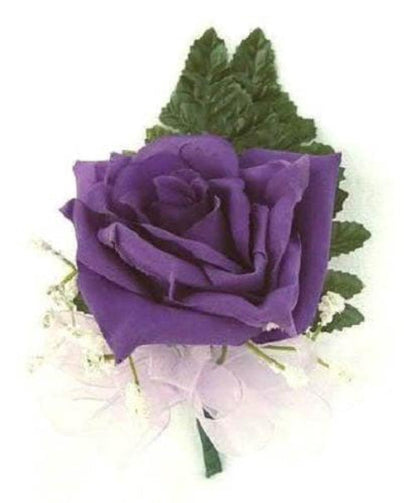 Purple Floribunda Rose (Rosa floribunda) Seeds – 5 ct