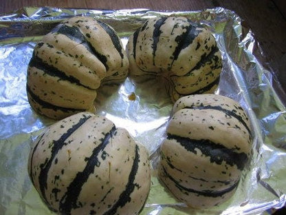 15 HEART Of GOLD Acorn SQUASH Winter Cucurbita Pepo Vegetable Seeds