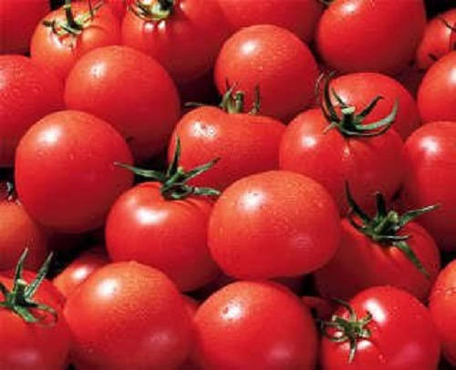 300 SMALL Red CHERRY TOMATO Lycopersicon Lycopersicum Fruit Vegetable Seeds
