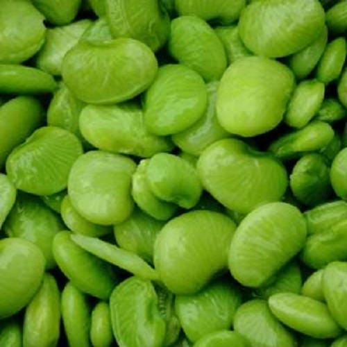 Fordhook Lima Bean (Phaseolus lunatus) Seeds – 20 ct