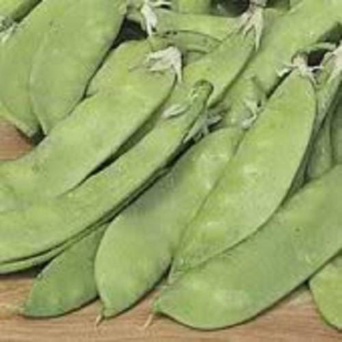 50 Snow Pea (Pisum Sativum) Seeds
