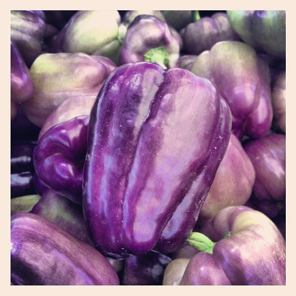 Purple Beauty Bell Pepper (Capsicum annuum) Seeds – 75 ct
