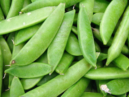 50 Super Sugar Snap Pea (Pisum Sativum Macrocarpon) Seeds