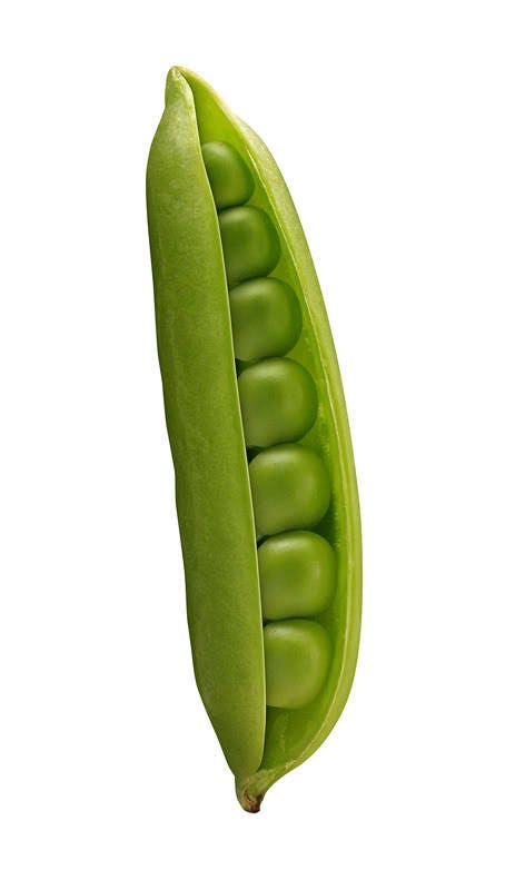 50 Super Sugar Snap Pea (Pisum Sativum Macrocarpon) Seeds