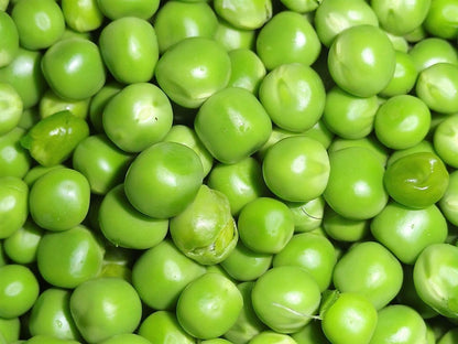 50 Oregon SUGAR POD II Pea Pisum Sativum Macrocarpon Vegetable Seeds