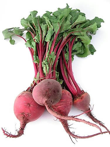 250 EARLY WONDER BEET Beta Vulgaris Vegetable Seeds
