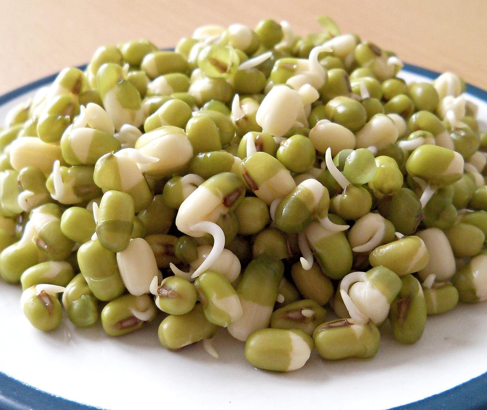 150 Mung Bean (Vigna Radiata) Seeds