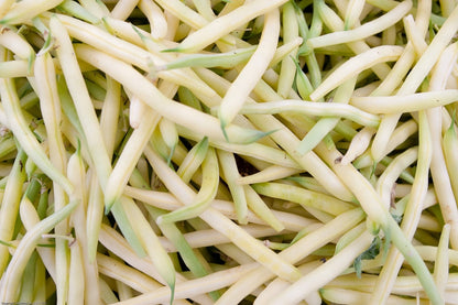 25 GOLDRUSH GREEN BEAN Bright Yellow Wax Bean Phaseolus Vulgaris Vegetable Seeds