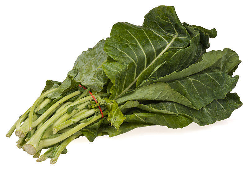 1000 Premier Kale (Brassica Oleracea) Seeds