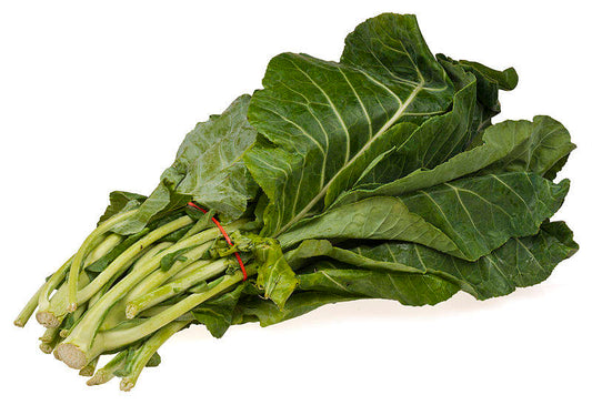 1000 Premier Kale (Brassica Oleracea) Seeds