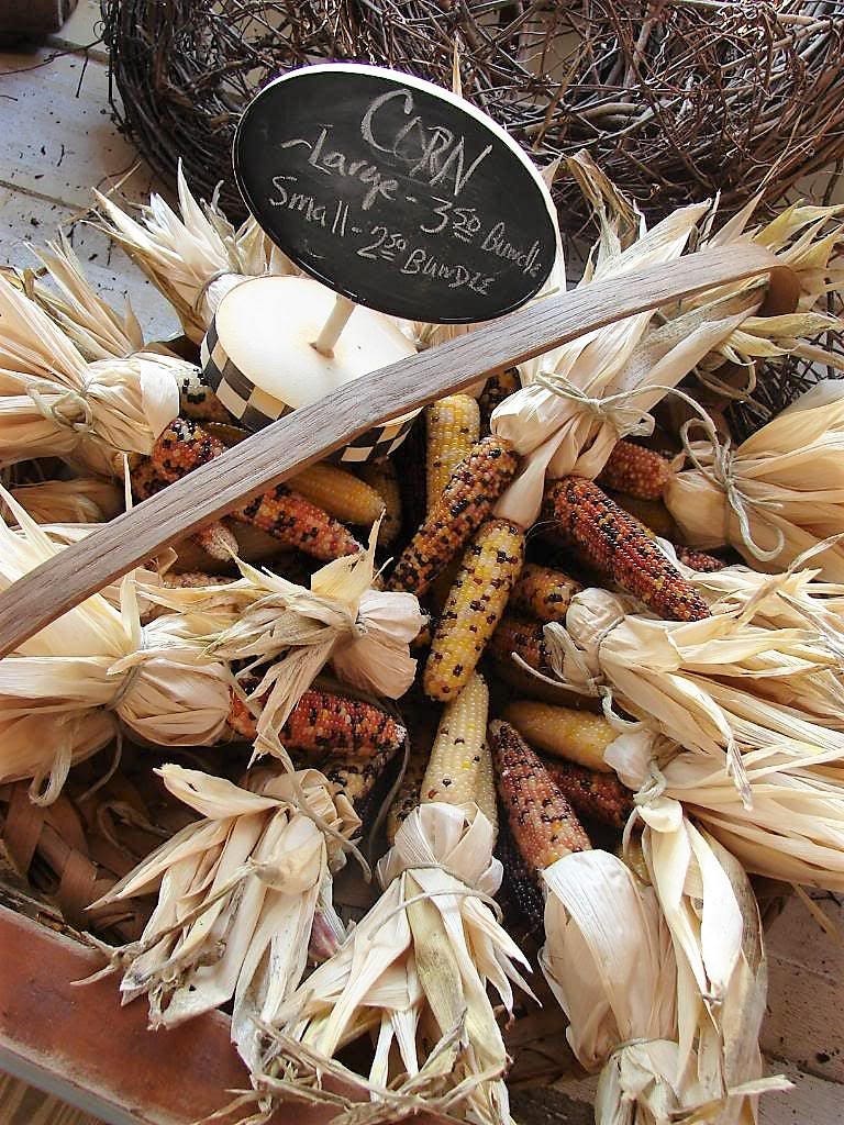 50 Indian Mini Mix Corn (Zea Mays) Seeds