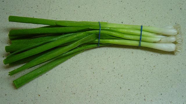 Evergreen Nebuka Bunching Onion (Allium fistulosum) Seeds – 300 ct