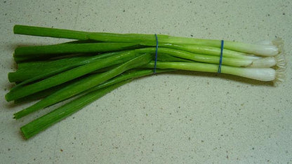Evergreen Nebuka Bunching Onion (Allium fistulosum) Seeds – 300 ct