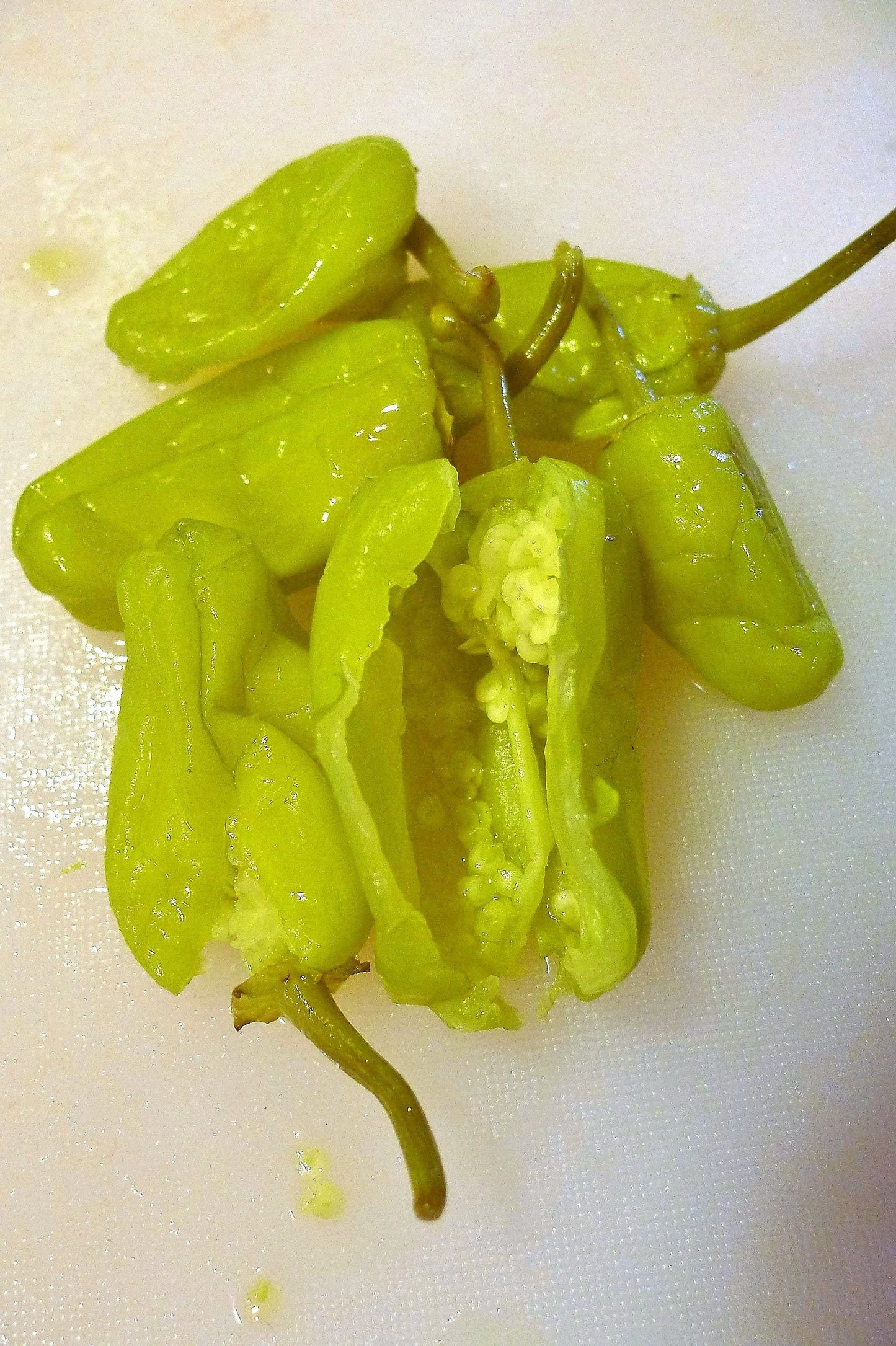 50 Greek Golden Pepper/ Pepperoncini (Capsicum Annuum) Seeds