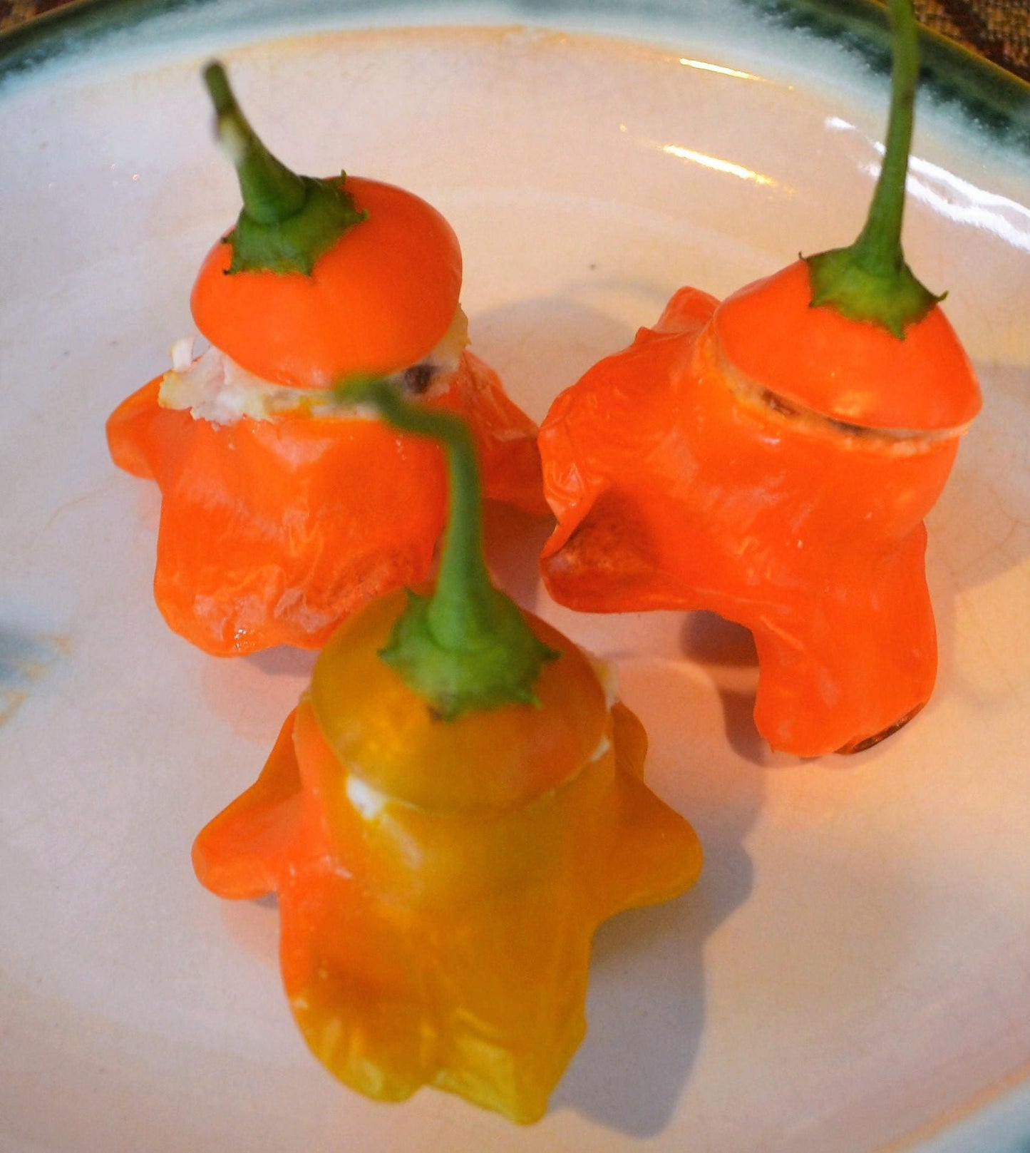 40 Orange Scotch Bonnet Pepper (Capsicum Chinense) Seeds