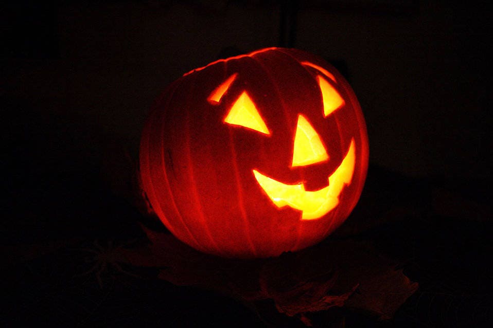 50 SPOOKIE PUMPKIN aka Deep Sugar Pie Pumpkin Cucurbita Pepo Vegetable Seeds