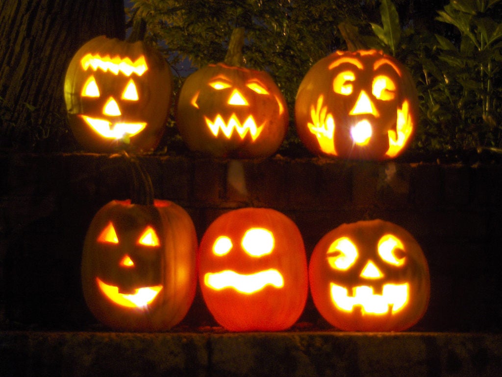 50 SPOOKIE PUMPKIN aka Deep Sugar Pie Pumpkin Cucurbita Pepo Vegetable Seeds