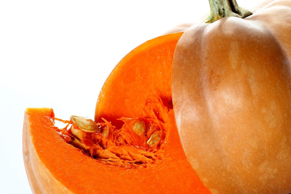 40 Small Sugar Pumpkin (Cucurbita Pepo) Seeds