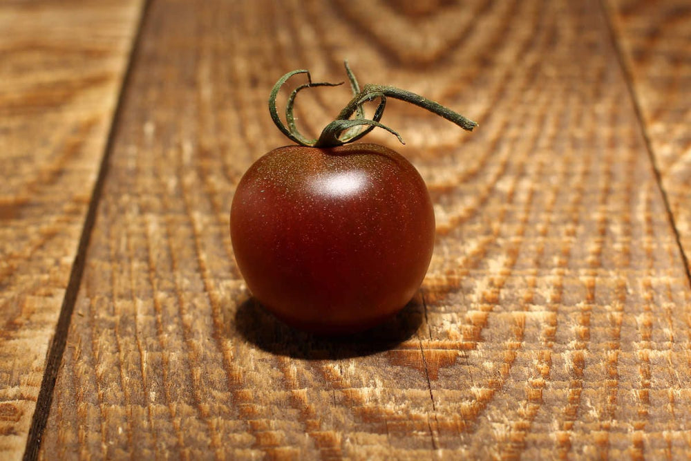 50 Black Cherry Tomato (Lycopersicon) Seeds
