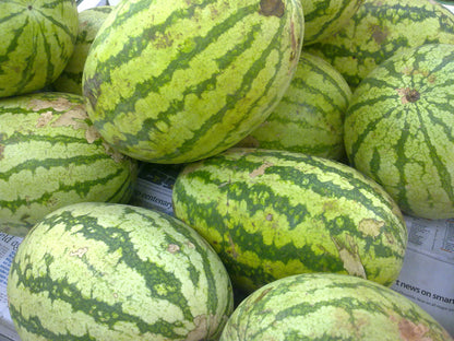 20 Cal Sweet Supreme Watermelon (Citrullus Lanatus) Seeds