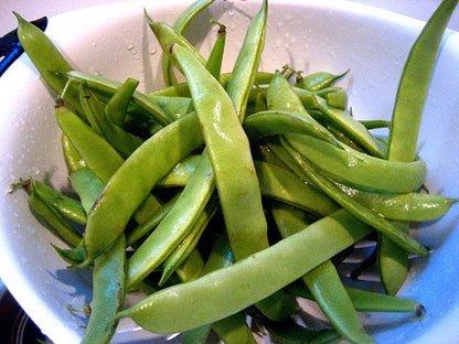 50 ROMA Italian GREEN BEAN Phaseolus Vulgaris Vegetable Seeds