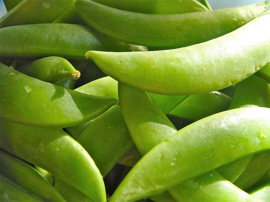 50 Super Sugar Snap Pea (Pisum Sativum Macrocarpon) Seeds
