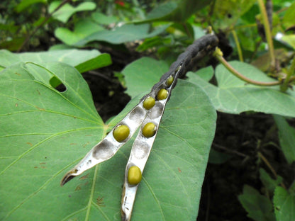 150 Mung Bean (Vigna Radiata) Seeds