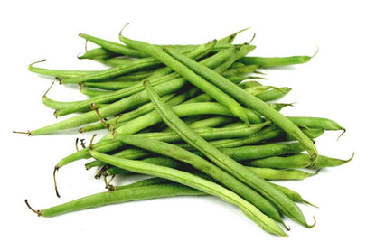 50 BURPEE STRINGLESS Green Pod BEAN French Phaseolus Vulgaris Vegetable Seeds