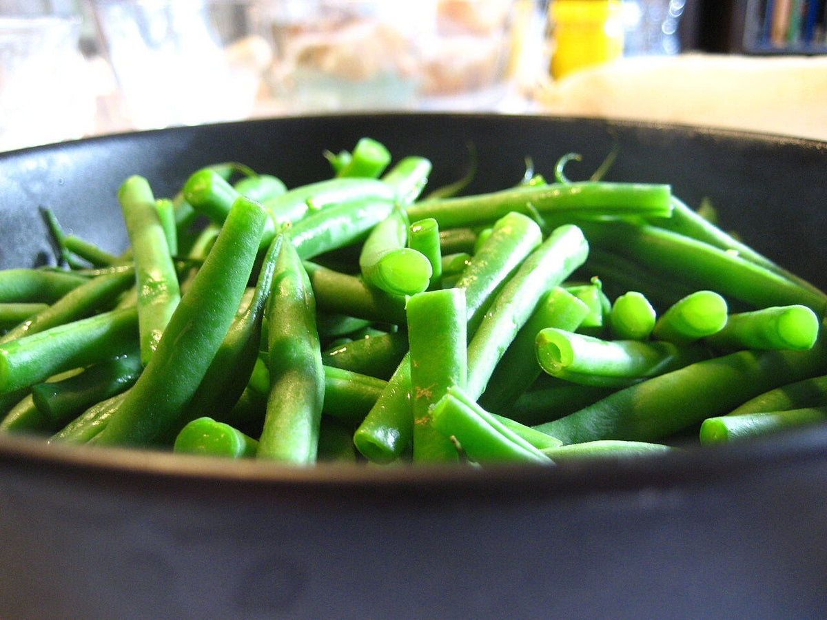 50 BURPEE STRINGLESS Green Pod BEAN French Phaseolus Vulgaris Vegetable Seeds