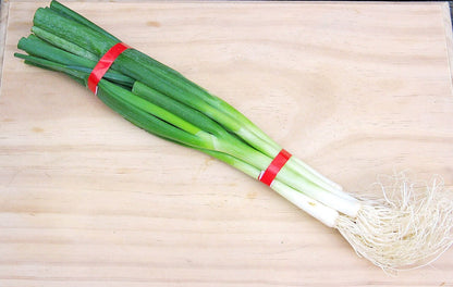 Evergreen Nebuka Bunching Onion (Allium fistulosum) Seeds – 300 ct