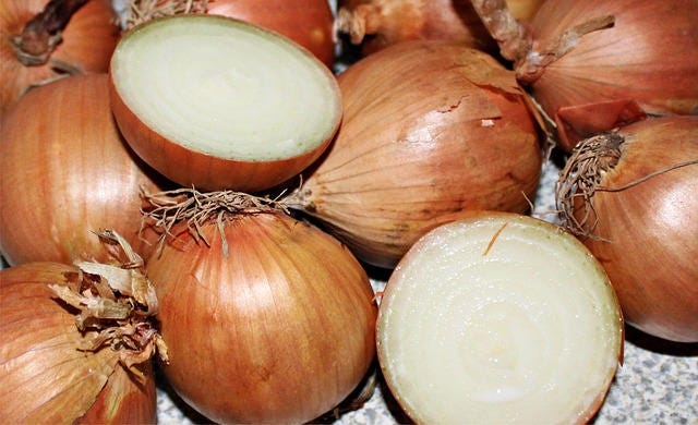 400 Texas Early Grano Onion (Allium Cepa) Seeds