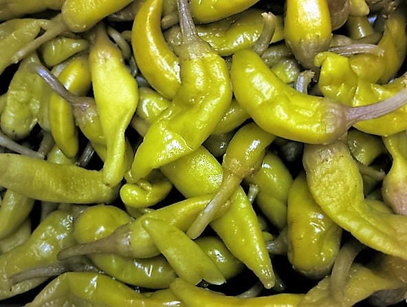 50 Greek Golden Pepper/ Pepperoncini (Capsicum Annuum) Seeds