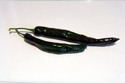 50 Pasilla Bajio Pepper (Capsicum Annuum) Seeds
