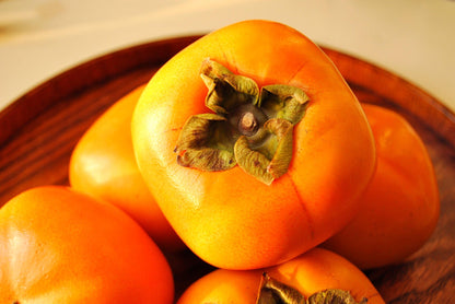 5 Japanese Persimmon Tree (Diospyros Kaki) Seeds