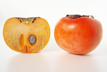 5 Japanese Persimmon Tree (Diospyros Kaki) Seeds