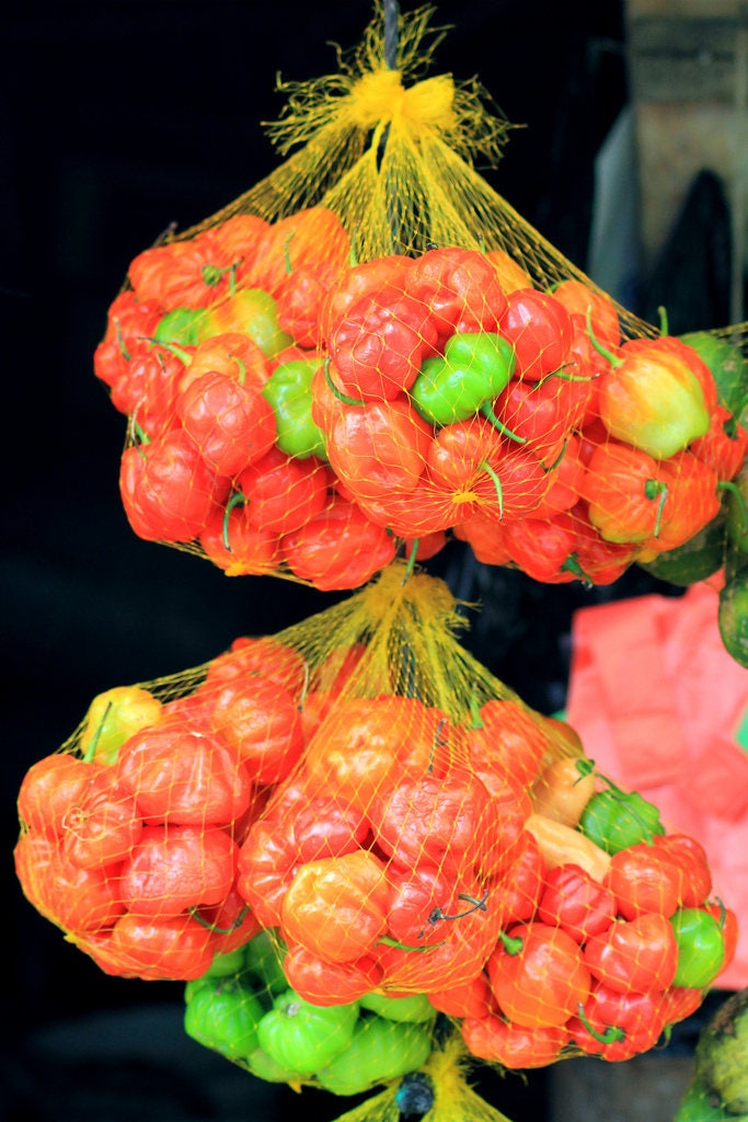 40 Orange Scotch Bonnet Pepper (Capsicum Chinense) Seeds