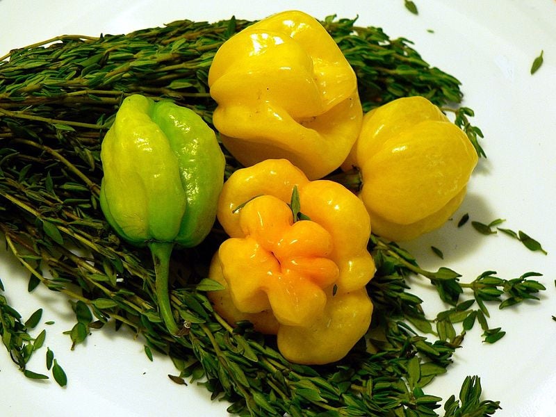 40 Yellow Scotch Bonnet Pepper (Capsicum Chinense) Seeds