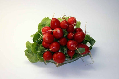 500 Champion Radish (Raphanus Sativus) Seeds