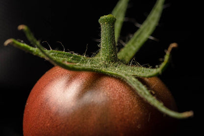 50 Black Cherry Tomato (Lycopersicon) Seeds