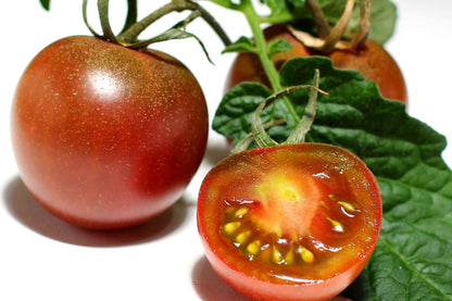 50 Black Cherry Tomato (Lycopersicon) Seeds