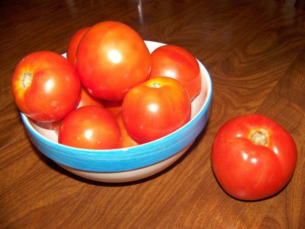 200 Red RUTGERS TOMATO Lycopersicon Globe Determinate 8 oz Fruit Vegetable Seeds